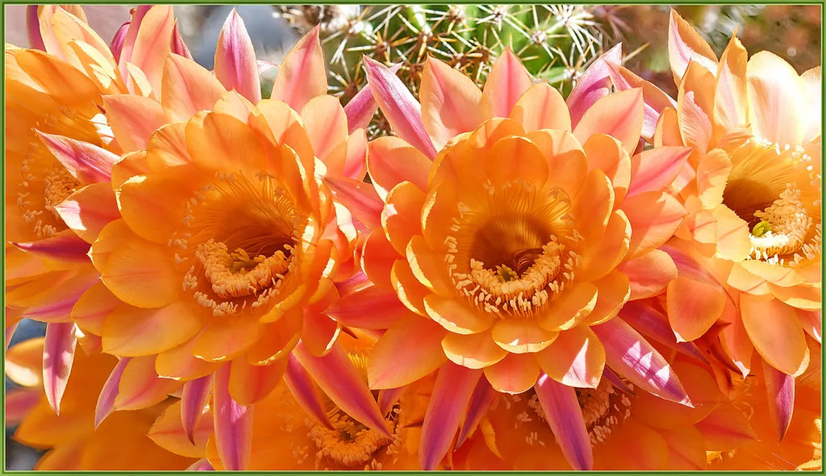 Discover Underrated Trondheim Buildings in 2025