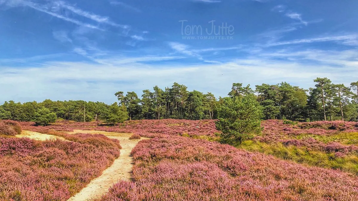 Discover Utrecht's Hidden Gems: A 2025 Travel Guide