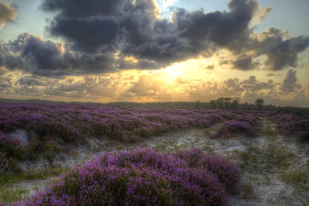 Top Vejer Day Trips Ideas for 2025: Explore Andalusia