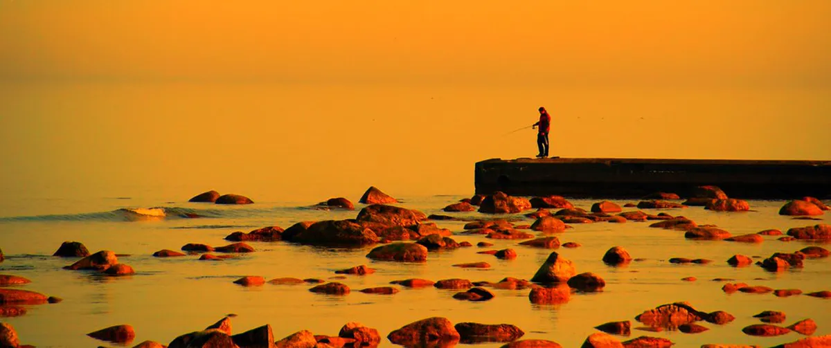 Top Visby Day Trips Ideas for Your 2025 Gotland Adventure