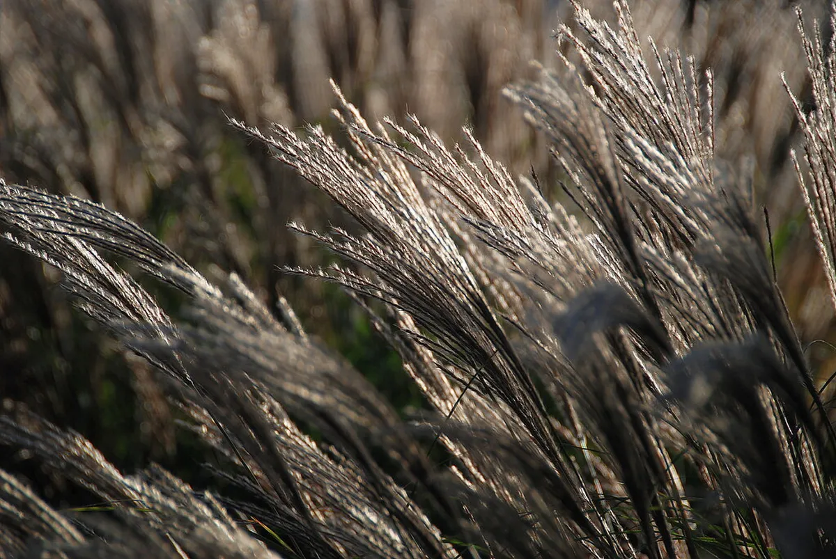 Where to Buy Stavanger Architecture Books Locally