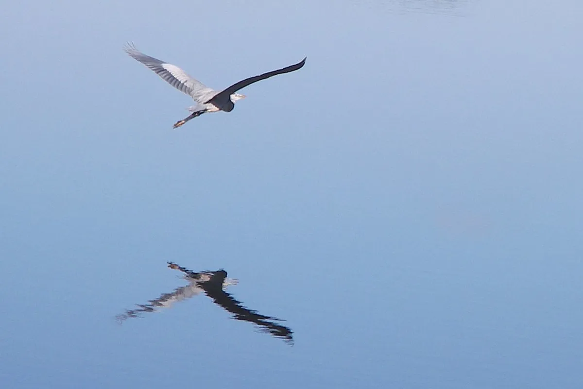 Where to Stay in Clermont-Ferrand: Best Neighborhoods for 2026 – itinerary guide